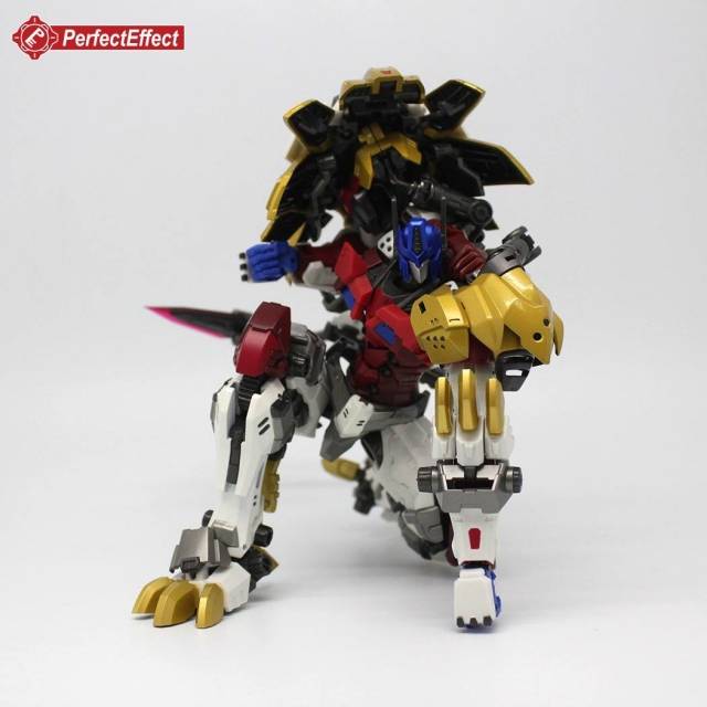 PE-DX05 Leonidas | Perfect Effect