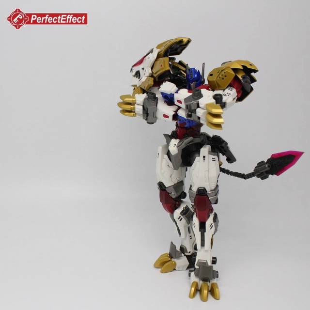 PE-DX05 Leonidas | Perfect Effect