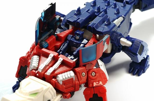X-9 Positum Convention Exclusive | Fansproject Function X