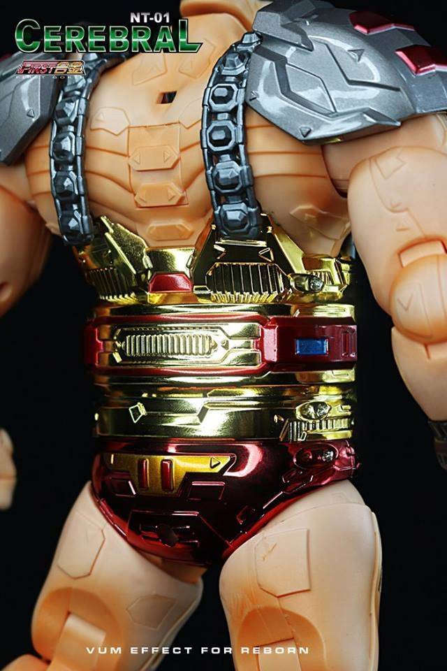 NT01-S Cerebral Krang | First Gokin