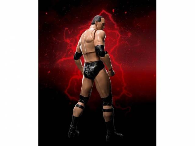The Rock S.H. Figuarts | Bandai Tamashii Nations | Wwe