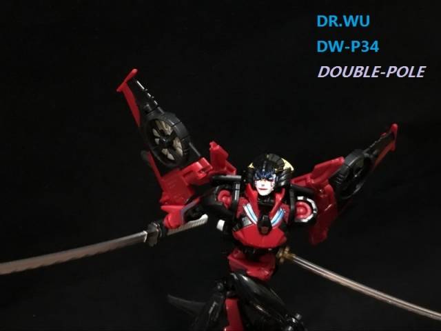DW-P34 Double Pole | Dr. Wu | Upgrade Kit