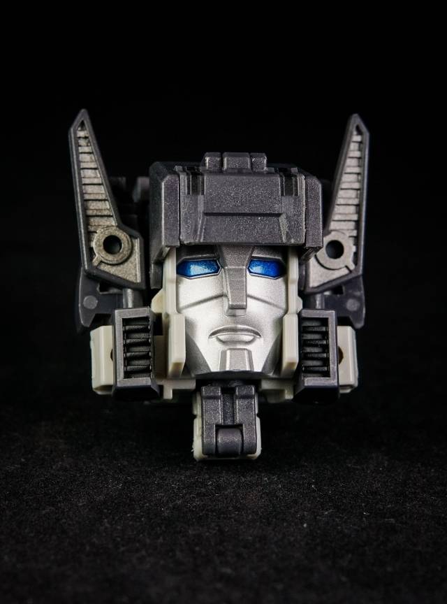 YM05 Day and Night | Unique Toys | Palm Collection
