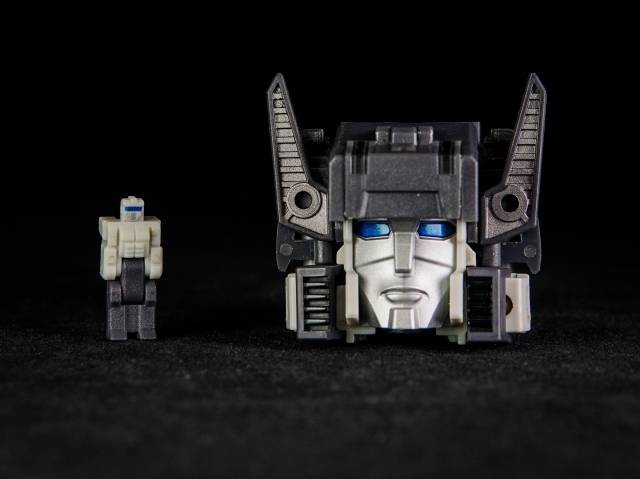 YM05 Day and Night | Unique Toys | Palm Collection