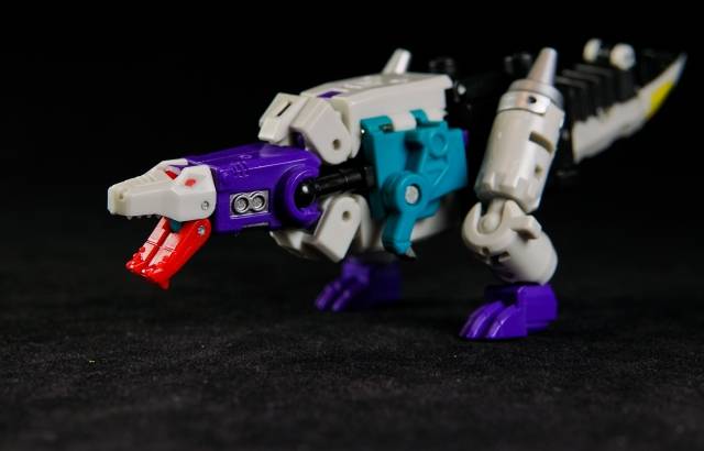 YM05 Day and Night | Unique Toys | Palm Collection