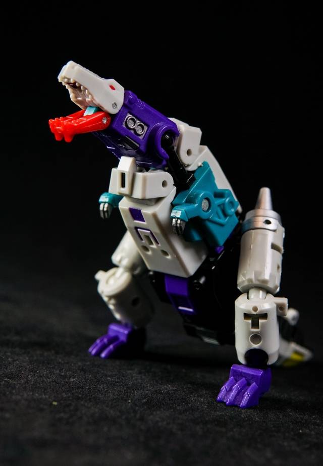 YM05 Day and Night | Unique Toys | Palm Collection