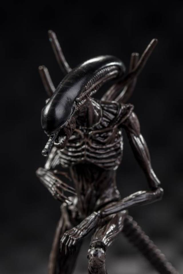 Xenomorph 1:18 Scale | Alien Covenant | Hiya Toys
