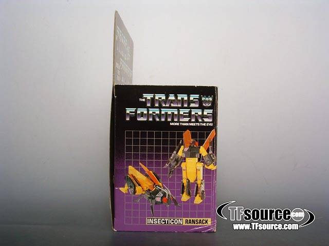 Ransack Insecticon Vintage Transformers G1