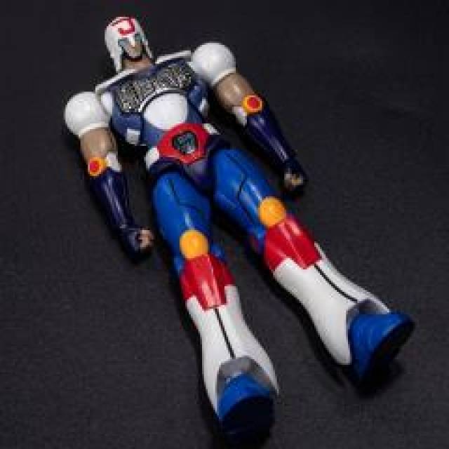 Sentinel - PlaWres Sanshiro Frame Action Meister Juohmaru