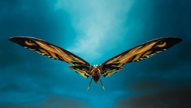 Mothra and Rodan Set S.H.MonsterArts | Bandai Tamashii Nations | Godzilla: King Of Monsters