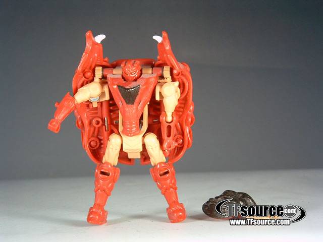 Razorbeast Basic Class | Transformers Beast Wars