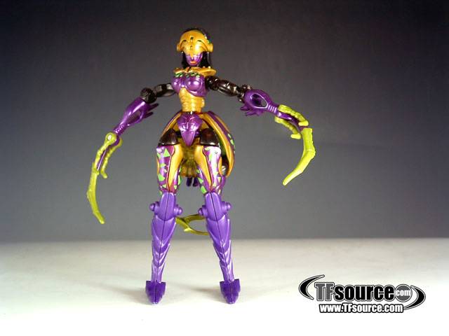 Deluxe Class Blackarachnia | Transformers Beast Machines