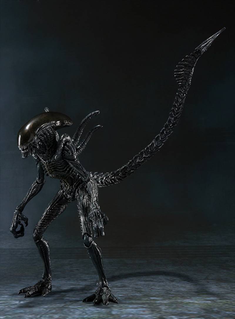 Alien Warrior S.H.MonsterArts | Bandai Tamashii Nations | Alien Vs Predator