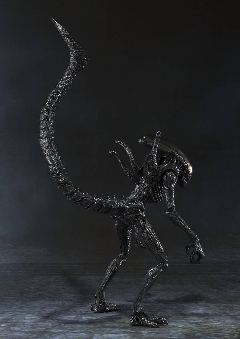 Alien Warrior S.H.MonsterArts | Bandai Tamashii Nations | Alien Vs Predator