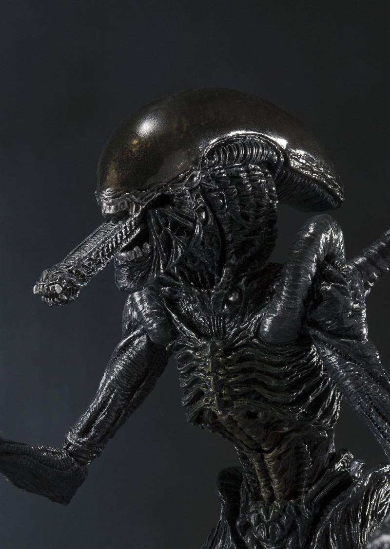 Alien Warrior S.H.MonsterArts | Bandai Tamashii Nations | Alien Vs Predator