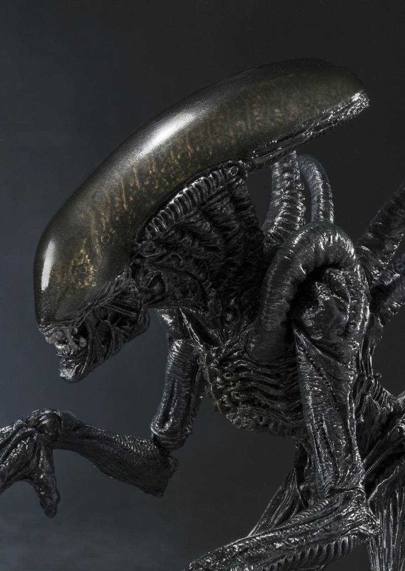 Alien Warrior S.H.MonsterArts | Bandai Tamashii Nations | Alien Vs Predator
