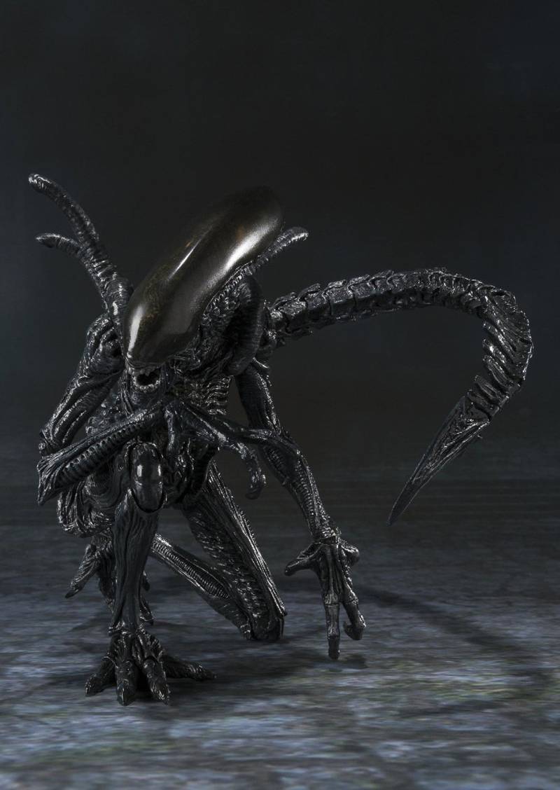 Alien Warrior S.H.MonsterArts | Bandai Tamashii Nations | Alien Vs Predator