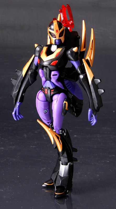 TA09 Blackarachnia | Japanese Transformers Animated