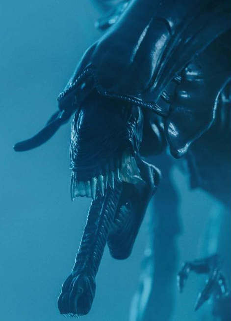 Alien Queen PX Previews Exclusive 1:18 Scale | Predators | Hiya Toys