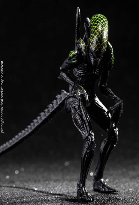 Grid Alien PX Previews Exclusive 1:18 Scale | Alien Vs Predator | Hiya Toys