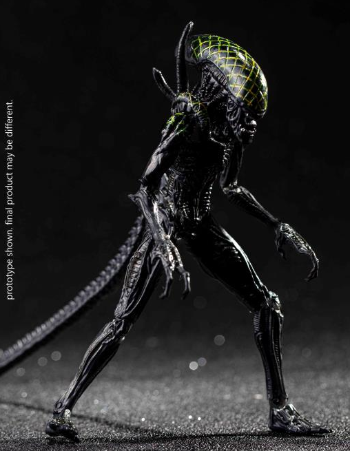 Grid Alien PX Previews Exclusive 1:18 Scale | Alien Vs Predator | Hiya Toys