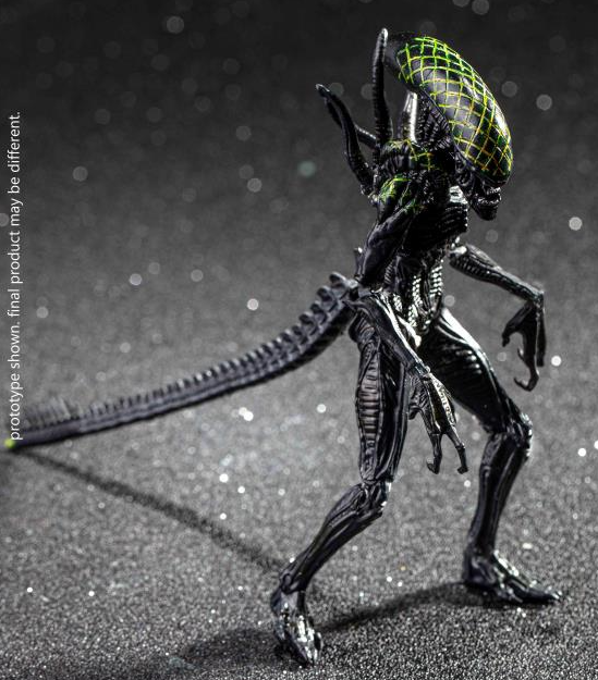 Grid Alien PX Previews Exclusive 1:18 Scale | Alien Vs Predator | Hiya Toys