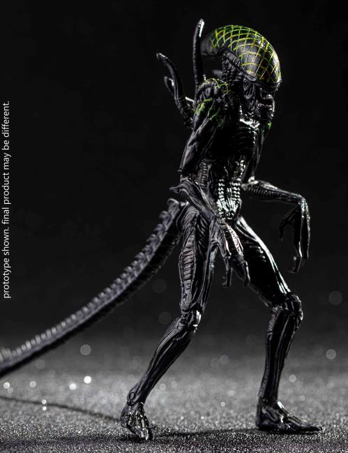 Grid Alien PX Previews Exclusive 1:18 Scale | Alien Vs Predator | Hiya Toys