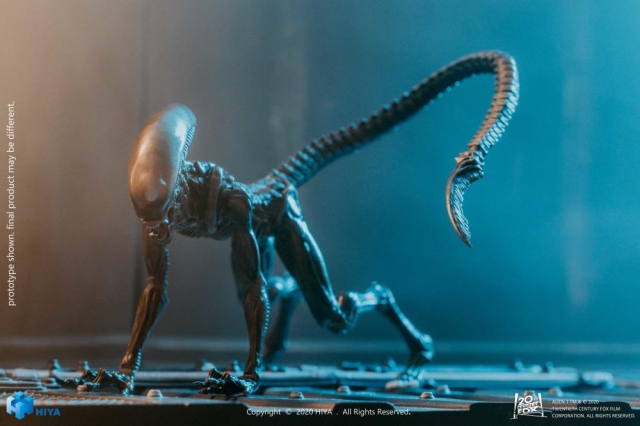 Dog Alien 1:18 Scale | Alien 3 | Hiya Toys