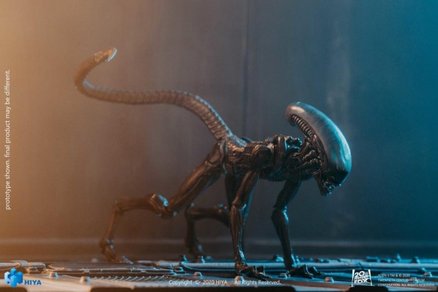 Dog Alien 1:18 Scale | Alien 3 | Hiya Toys