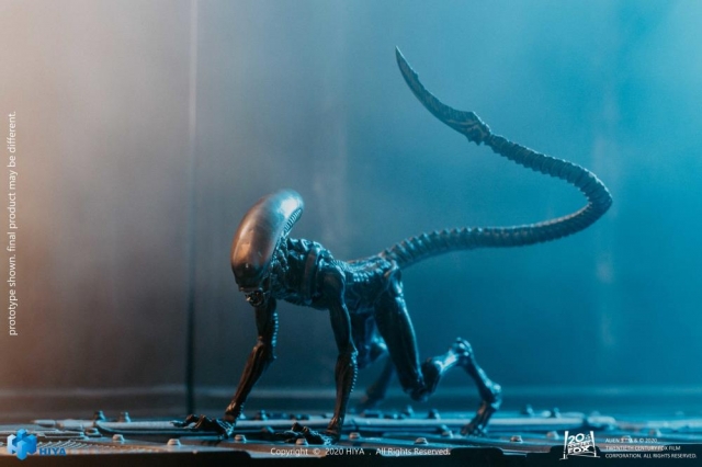 Dog Alien 1:18 Scale | Alien 3 | Hiya Toys