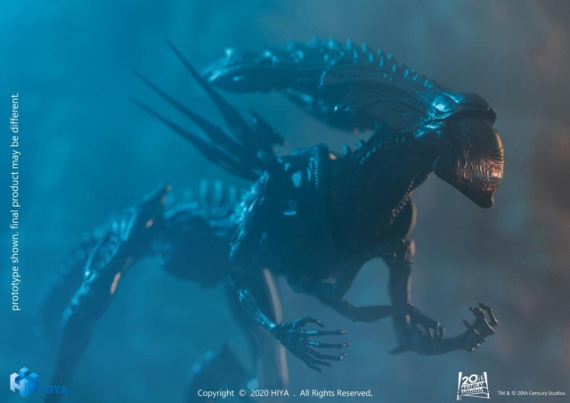 Alien Queen Battle Damaged Version 1:18 Scale | Alien Vs Predator | Hiya Toys