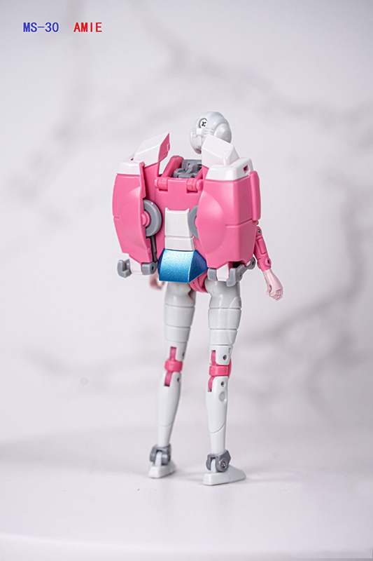 MS-30 Amie | Dr. Wu