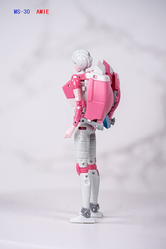 MS-30 Amie | Dr. Wu