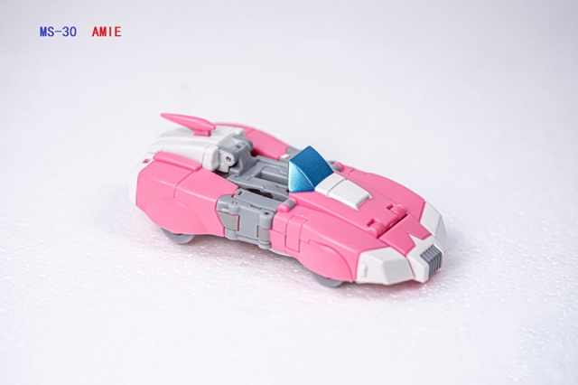 MS-30 Amie | Dr. Wu