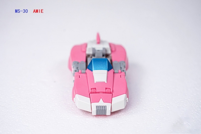 MS-30 Amie | Dr. Wu