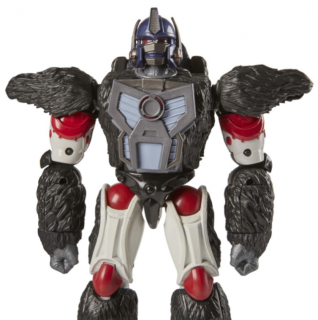 Beast Wars Optimus Primal 6-Inch Scale | R.E.D. [Robot Enhanced Design] | Transformers Generations
