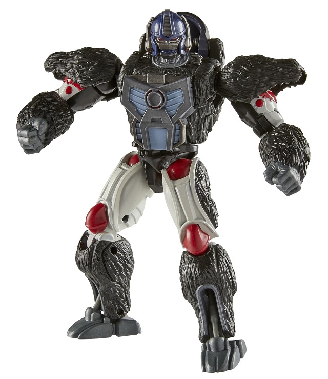 Beast Wars Optimus Primal 6-Inch Scale | R.E.D. [Robot Enhanced Design] | Transformers Generations
