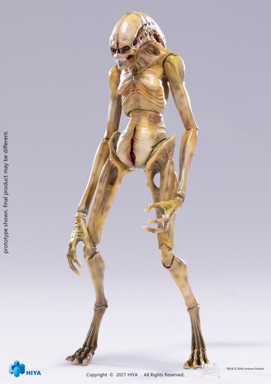 The Newborn 1:18 Scale | Alien: Resurrection | Hiya Toys
