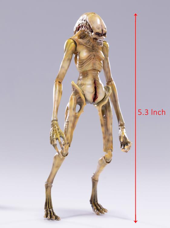 The Newborn 1:18 Scale | Alien: Resurrection | Hiya Toys