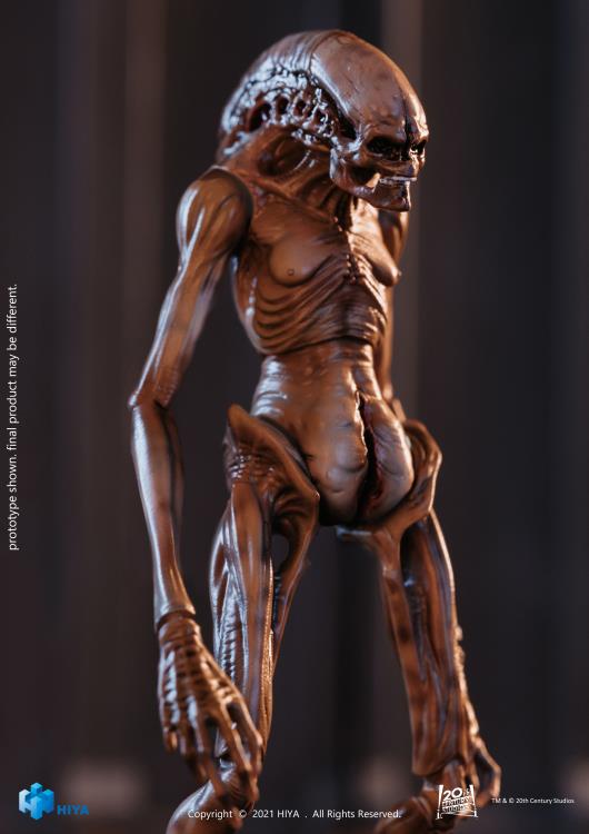 The Newborn 1:18 Scale | Alien: Resurrection | Hiya Toys