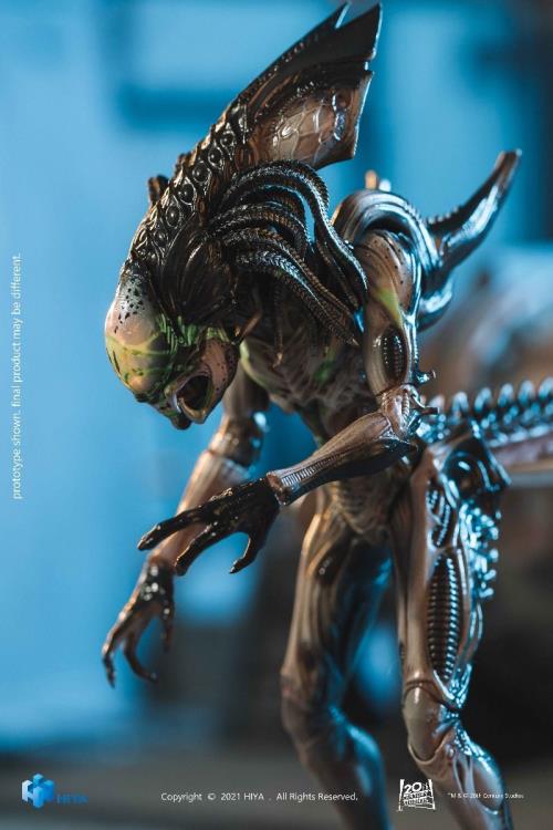 Predalien Battle Damaged Version 1:18 Scale | Alien Vs Predator: Requiem | Hiya Toys
