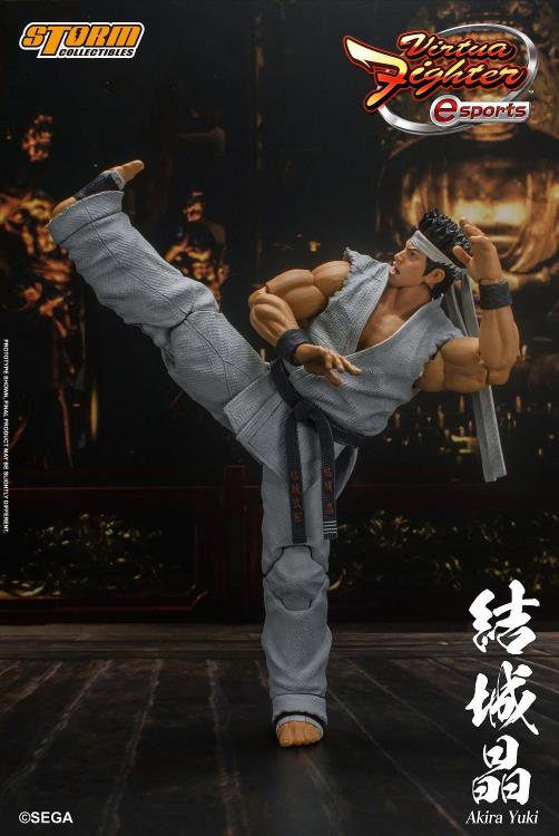 Akira Yuki 1:12 Scale Figure I Virtua Fighter | Storm Collectibles