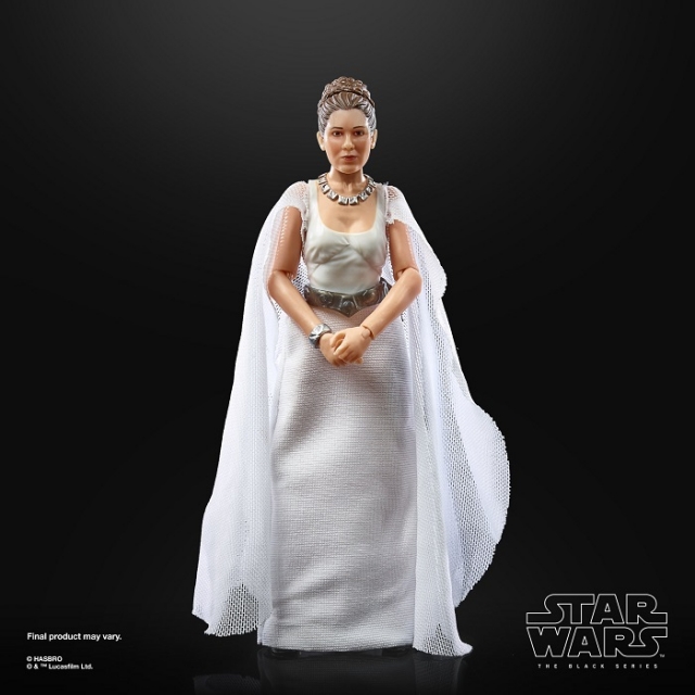 Princess Leia Organa (Yavin 4) 6-Inch Scale | Star Wars The Black Series 50th Anniversary | Star Wars: A New Hope