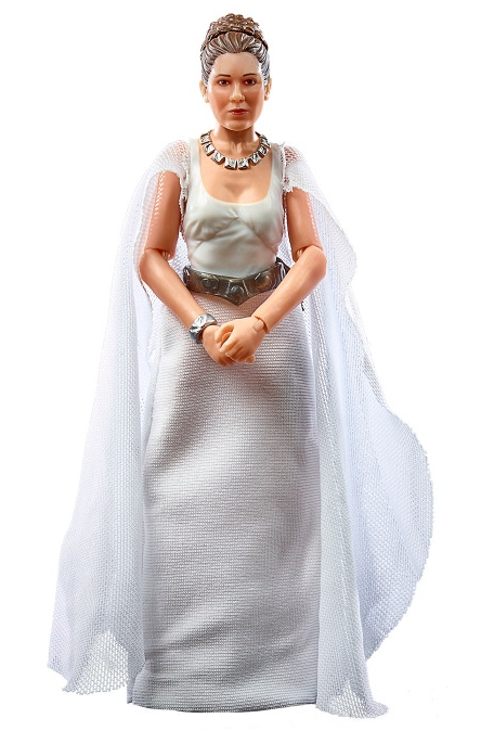 Princess Leia Organa (Yavin 4) 6-Inch Scale | Star Wars The Black Series 50th Anniversary | Star Wars: A New Hope