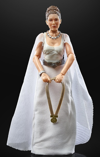 Princess Leia Organa (Yavin 4) 6-Inch Scale | Star Wars The Black Series 50th Anniversary | Star Wars: A New Hope