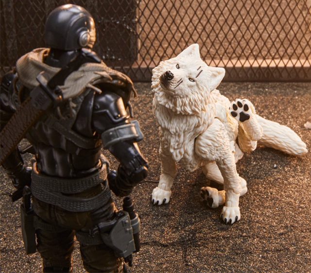 Snake Eyes and Timber Version 2 6-Inch Scale | G.I. Joe Classified Series