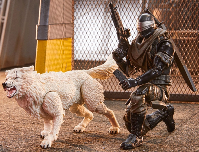 Snake Eyes and Timber Version 2 6-Inch Scale | G.I. Joe Classified Series