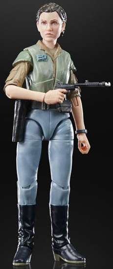Princess Leia Endor 6-Inch Scale | Star Wars The Black Series 40th Anniversary