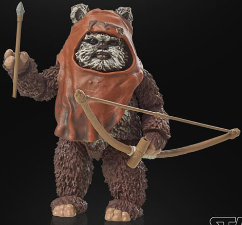Wicket 6-Inch Scale | Star Wars The Black Series 40th Anniversary