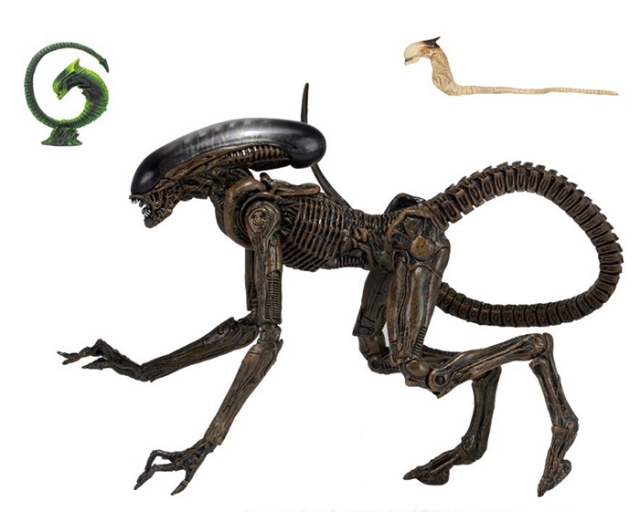 Dog Alien Ultimate 7-Inch Scale | Alien 3 | NECA